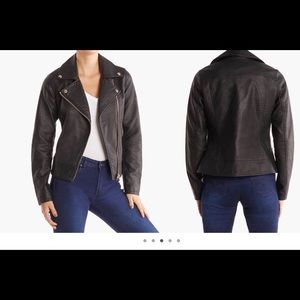 Steve Madden Moto Jacket